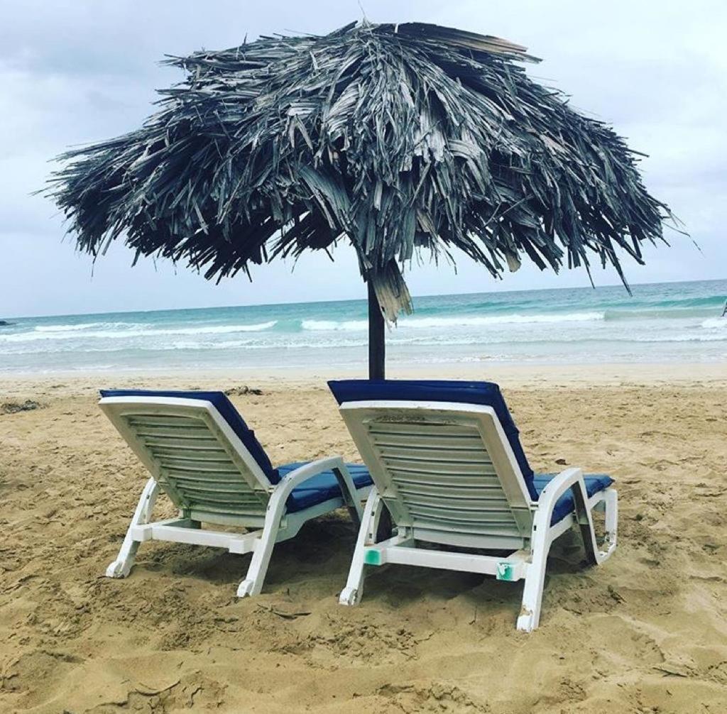Bed and Breakfast Dolphin Bay Hideaway Bocas del Toro Exterior foto