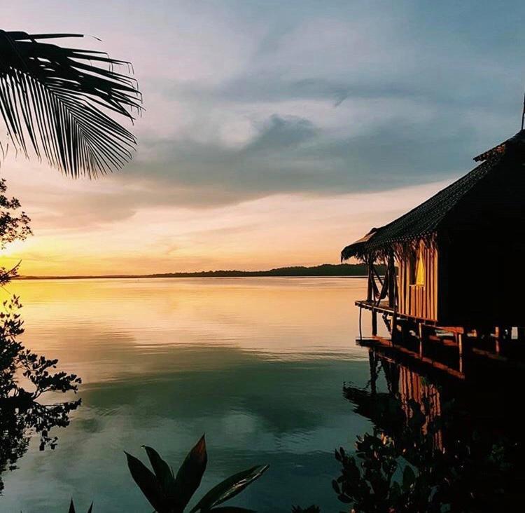 Bed and Breakfast Dolphin Bay Hideaway Bocas del Toro Exterior foto